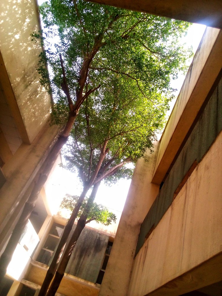 IMG_20250506_103417_584-01.jpeg