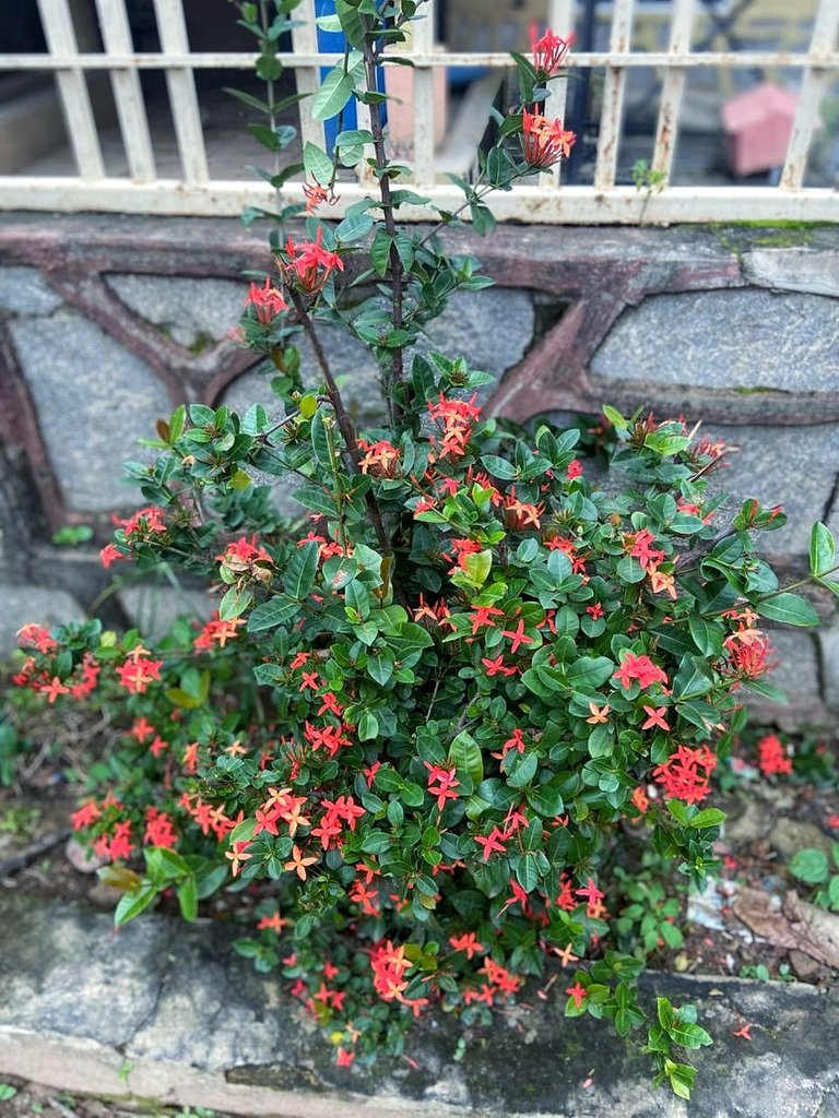 IMG-20250829-WA0058-01.jpeg