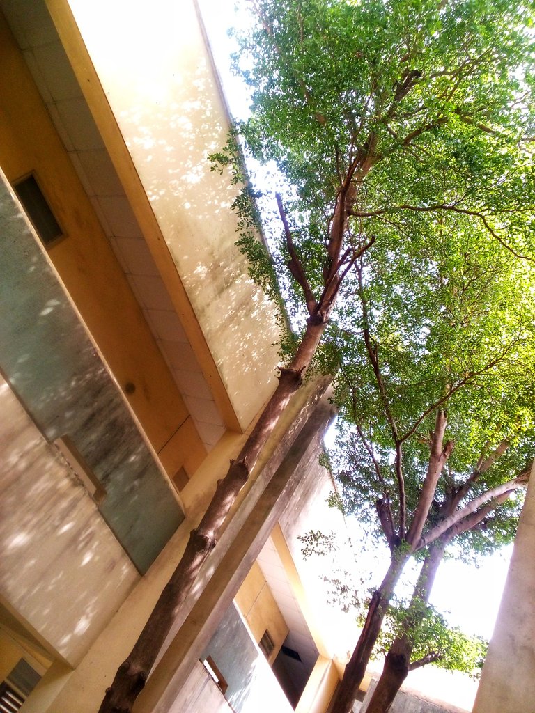 IMG_20250506_103338_081-01.jpeg
