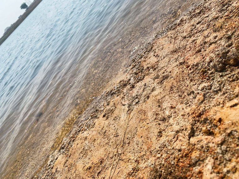 IMG_2011-01.jpeg