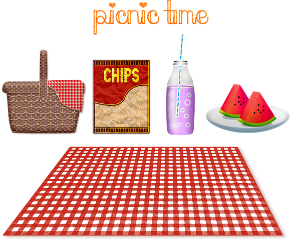 picnic-4246373__480.png