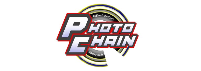 photochain.jpg