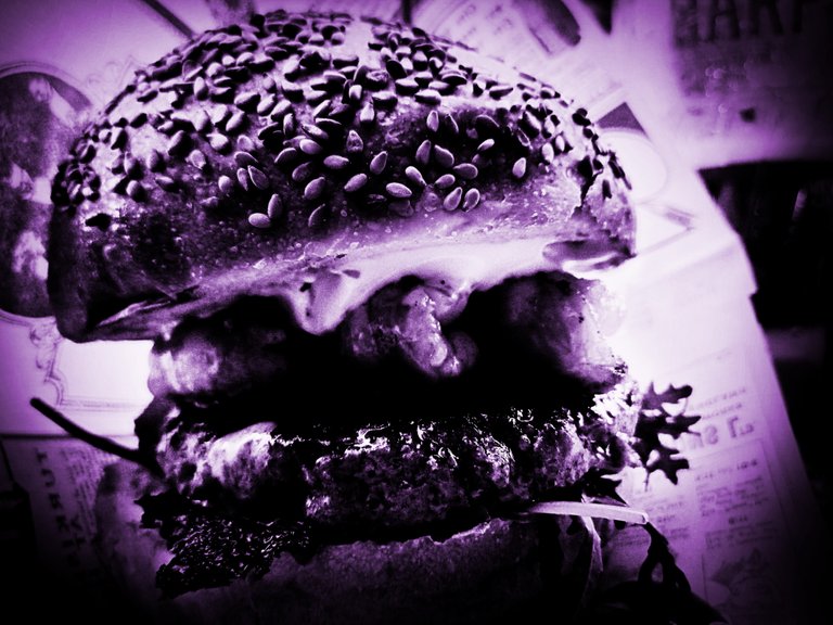 hamburger1.mc.jpg