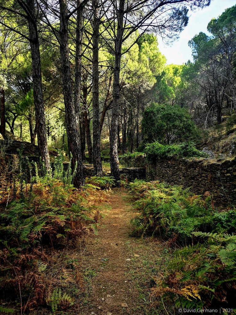 Serra d'Ossa.jpg