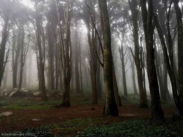Parque Natural Sintra-Cascais (1).jpg