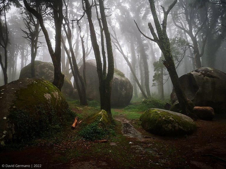 Parque Natural Sintra-Cascais (2 ass.).jpg
