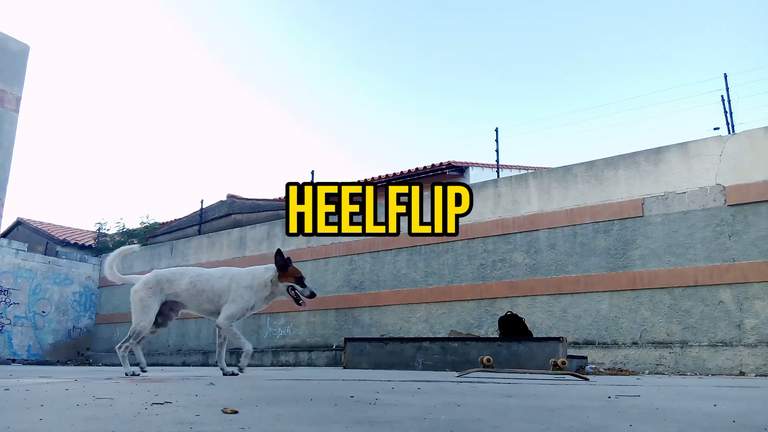 heelflipp.png