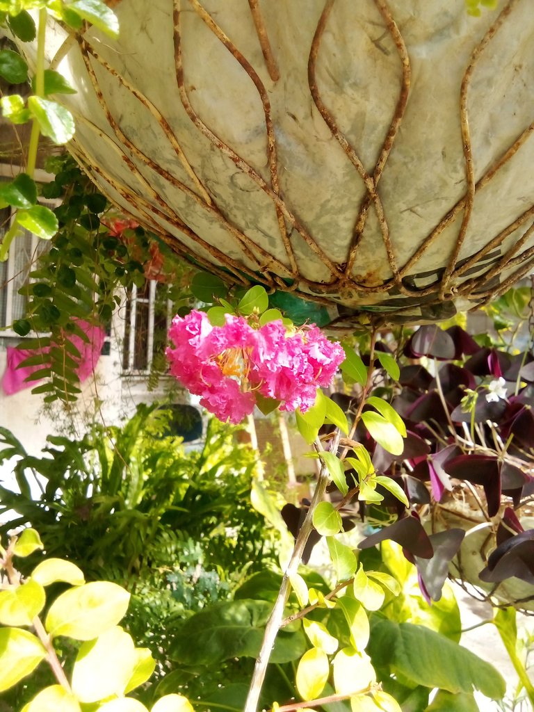 IMG_20250603_092051.jpg