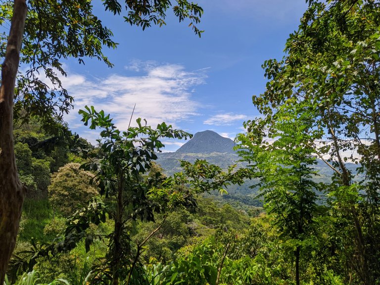 cerro tuza 2022.jpg