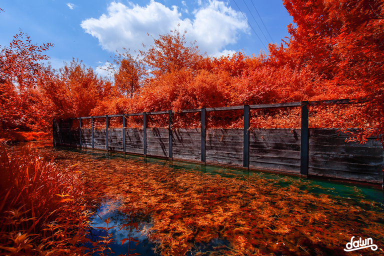 _MG_0146.png