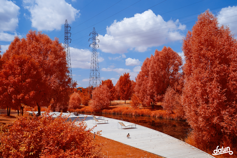 _MG_0174.png