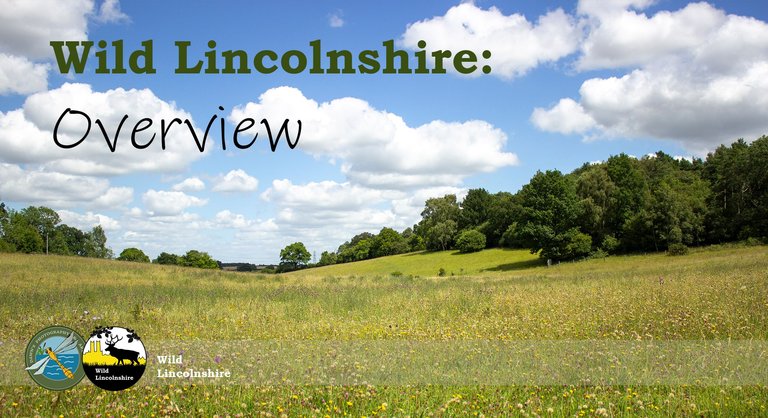 Wild Lincolnshire Cover Title Page.png