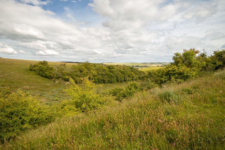 June 2022 _Coronation Meadow _Red Hill  _21.jpg