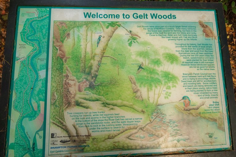 28th October 2022 _Sign _Gelt Wood _01.jpeg