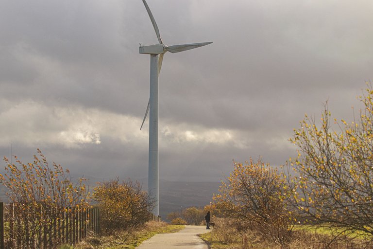 4th November 2022_ Wind Turbine_ Watch Tree Nature Reserve_ 01.jpg
