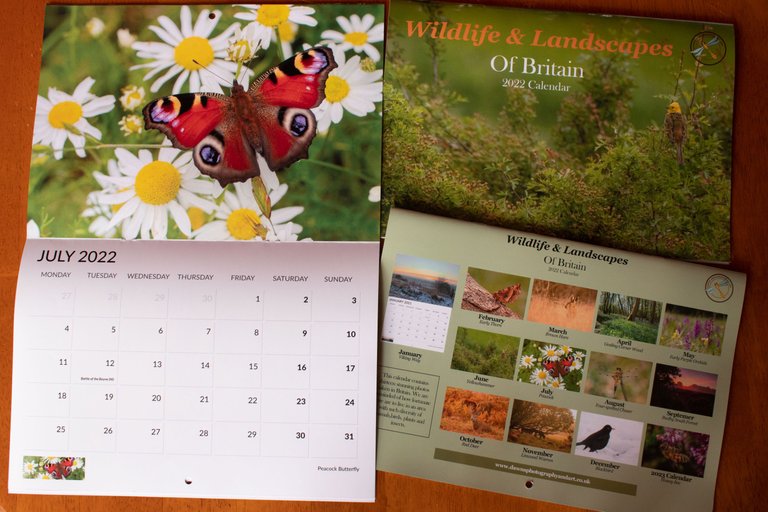 July 2021 _Wildlife & Landscapes Calendar 2022 _02.jpeg