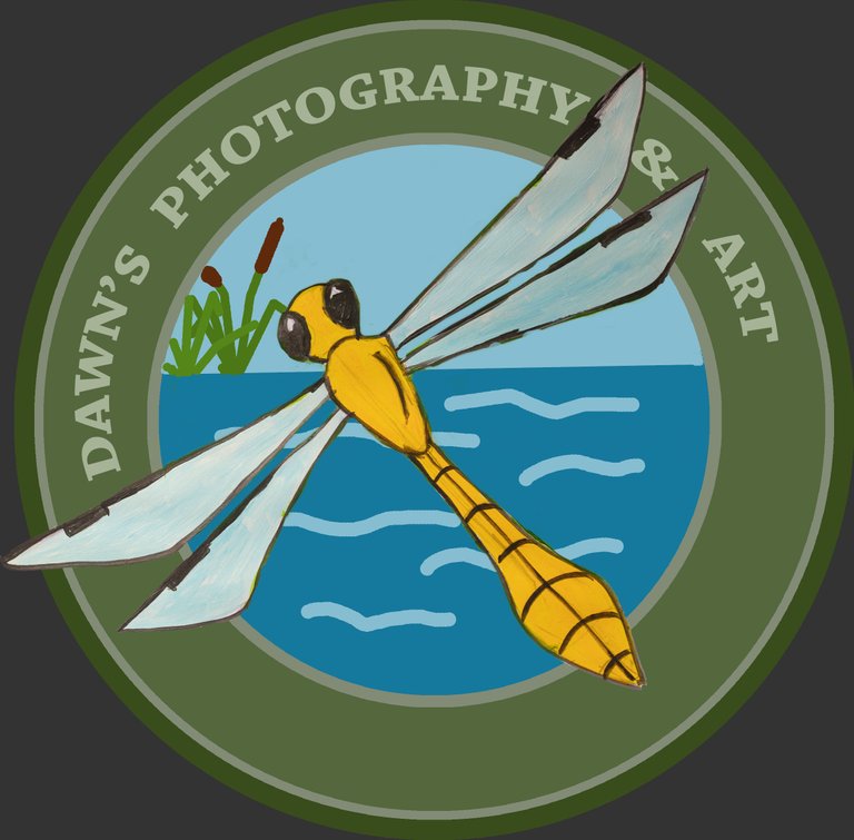 Dawns photography  Art  Dragonfly Logo _ 3.jpg