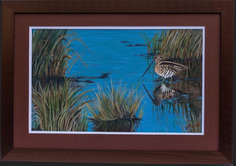 Snipe at Frampton Marsh_ Grey Framed.jpg