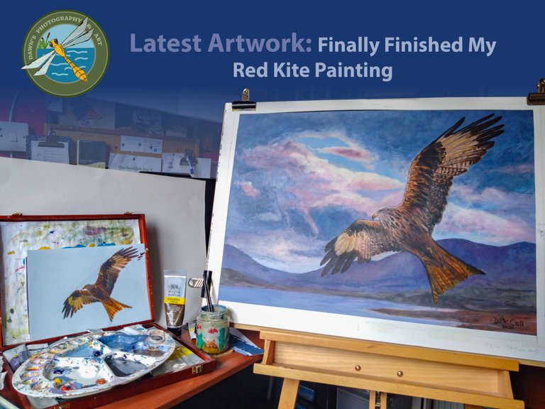 September 2024 _ Red Kite Painting _Blog _ 02_ Text.jpg