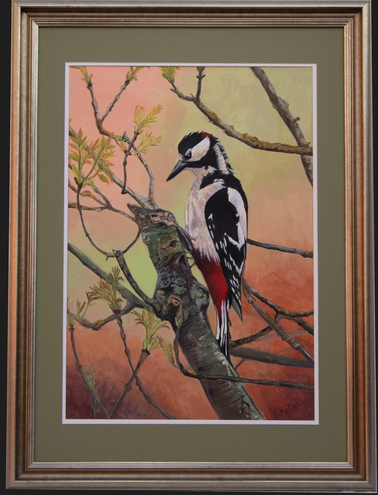Greatspotted Woodpecker with Frame_ Grey.jpg