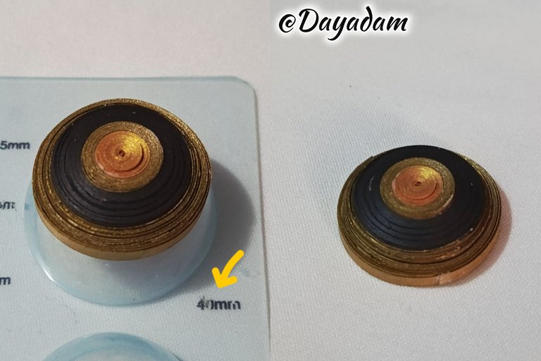 1000044769.jpg