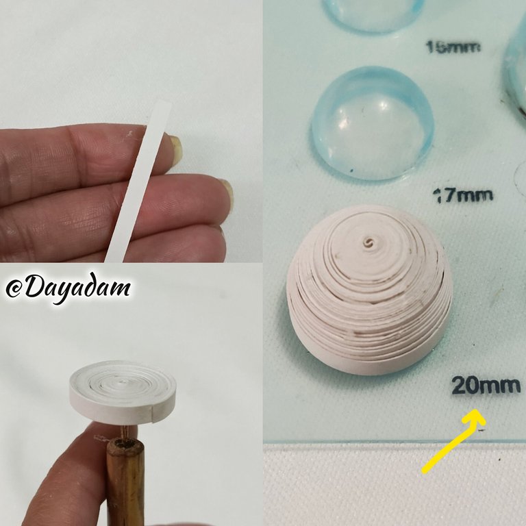 1000046490.jpg
