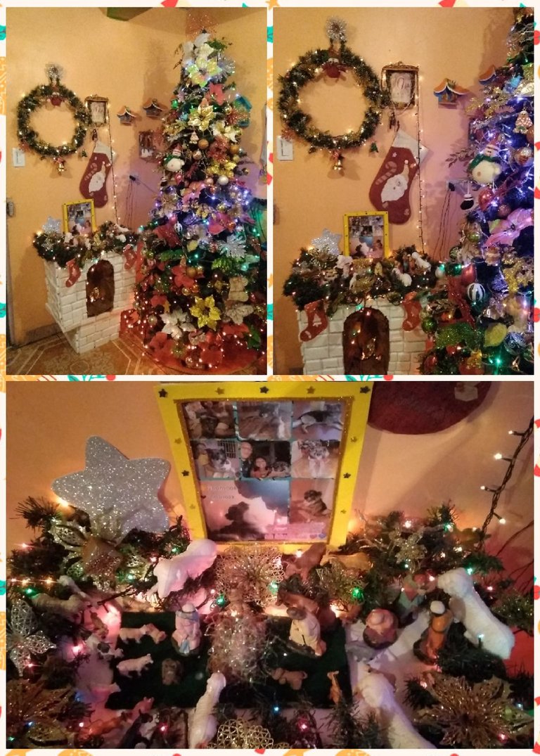photocollage_20241417424746.jpg