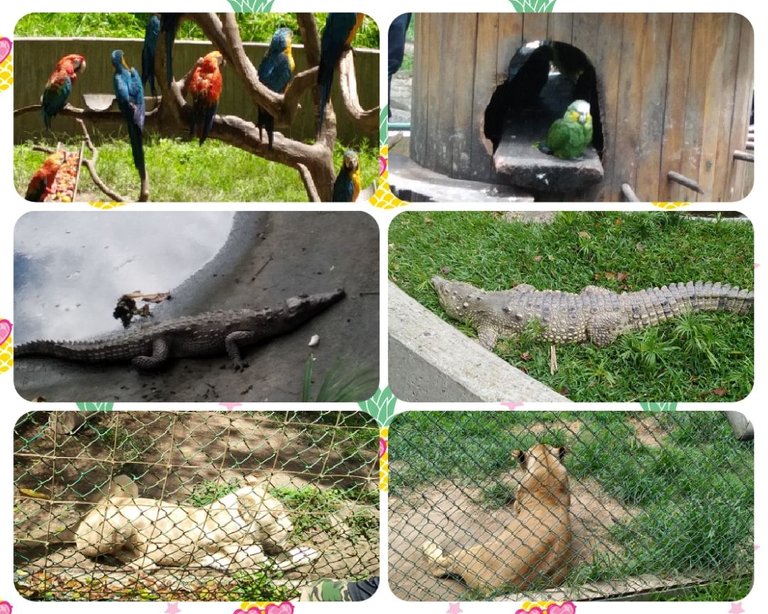 photocollage_2022913144948154.jpg