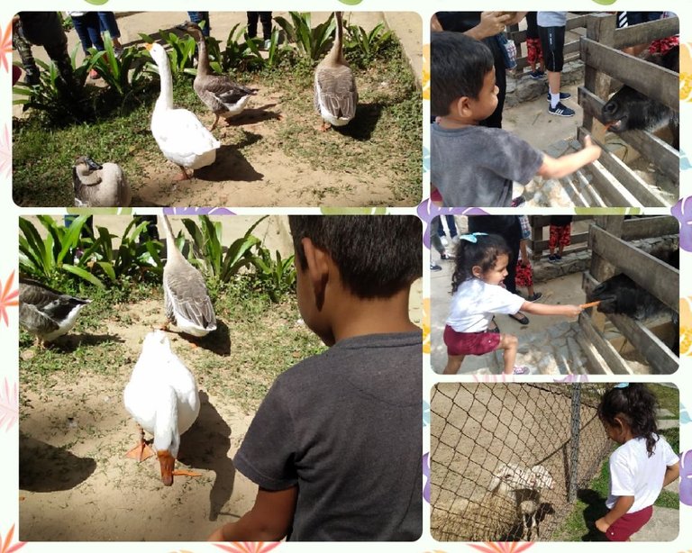 photocollage_202291314532418.jpg