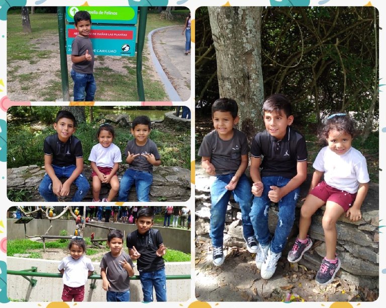 photocollage_2022913145458975.jpg