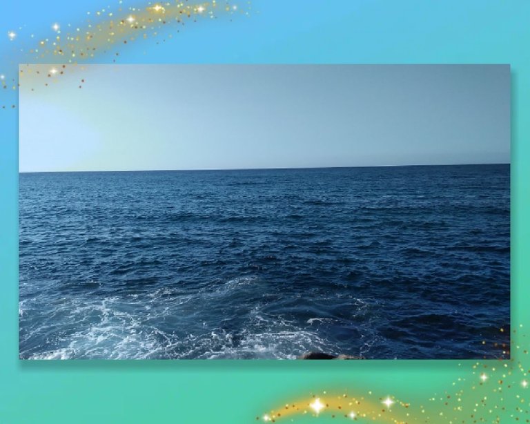 photocollage_202297197298.jpg