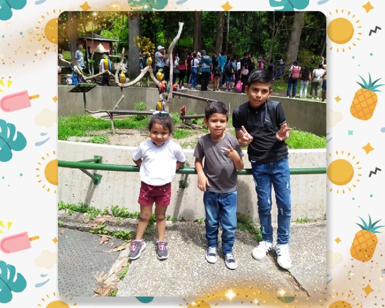 photocollage_2022913143950159.jpg