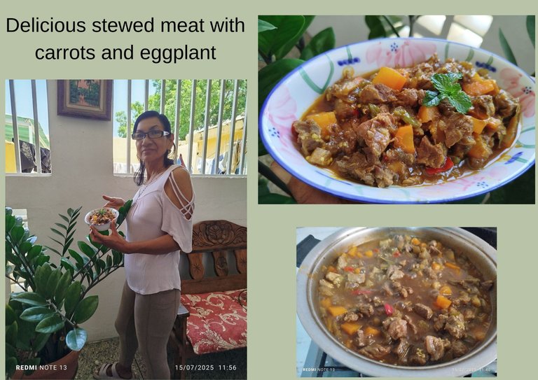 Delicious stewed meat with carrots and eggplant.jpg