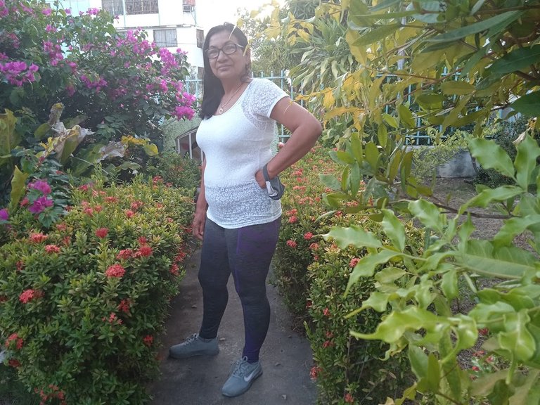 daysis flores.jpg