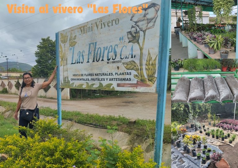 Visitando el vivero “Las Flores”.jpg