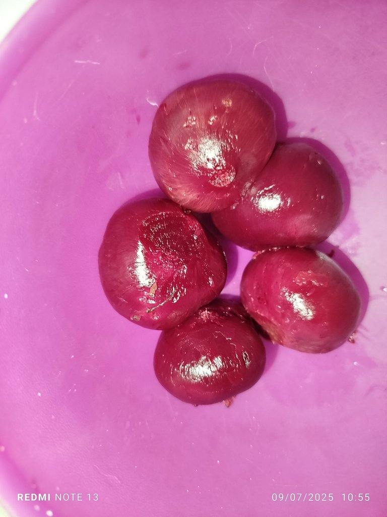 1000257302.jpg
