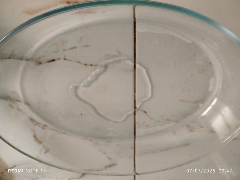 1000256466.jpg