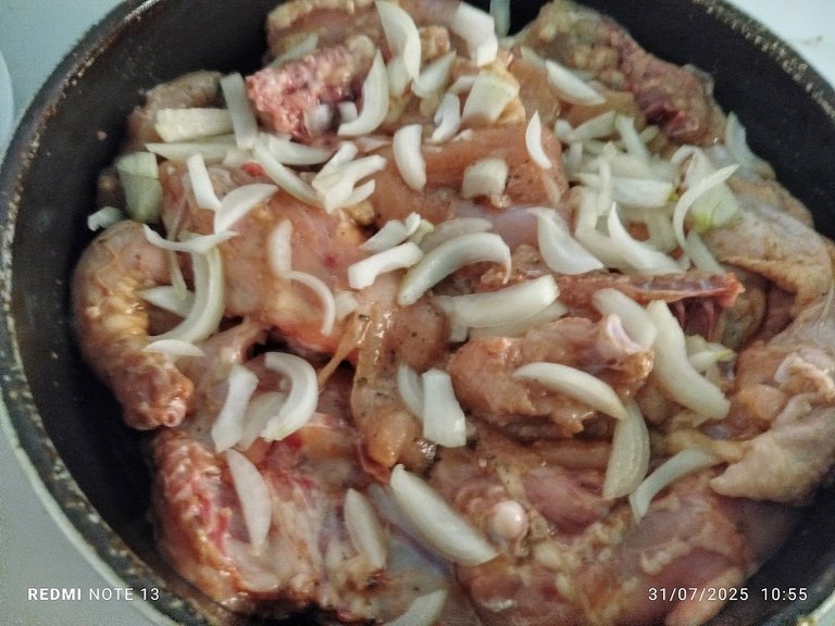pollo12.jpg