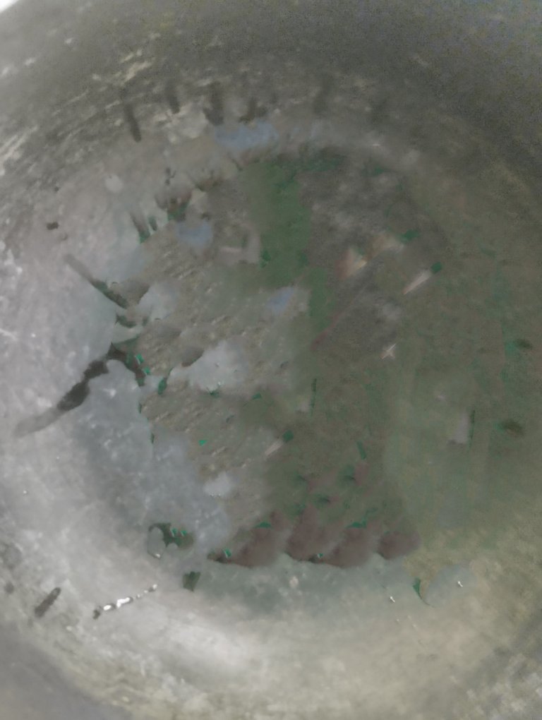 MTXX_MH20240131_154616985.jpg
