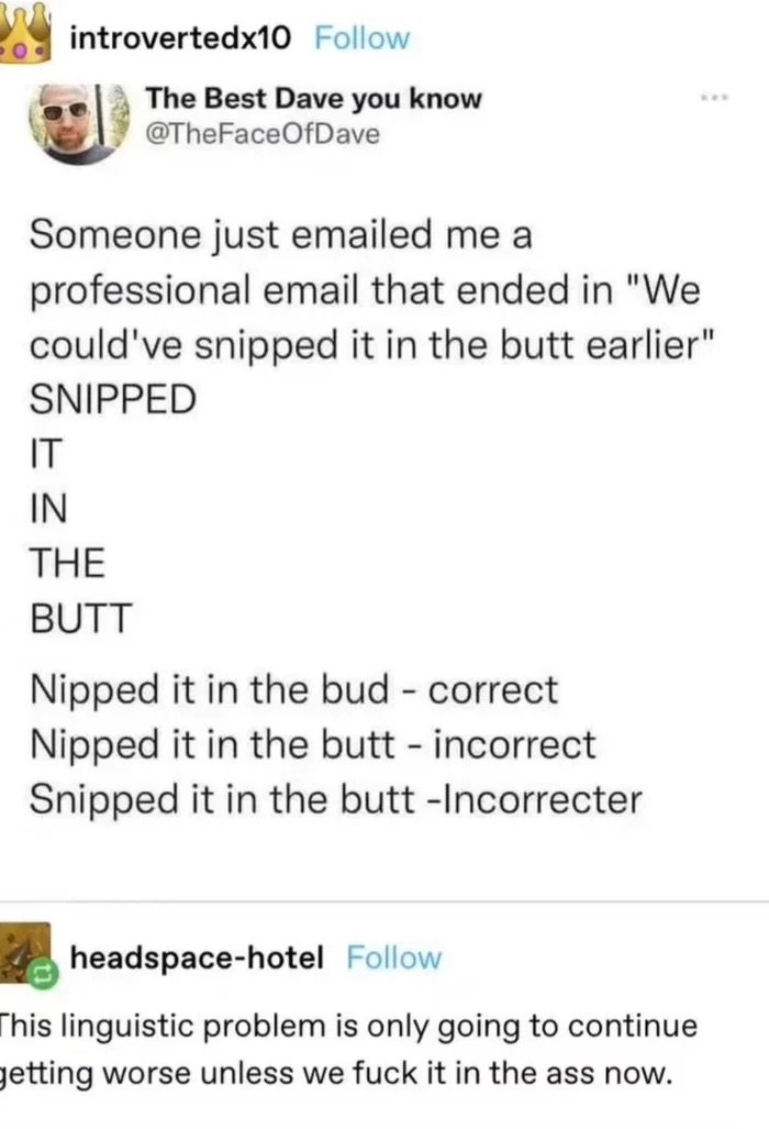 snipped it in the butt.jpeg