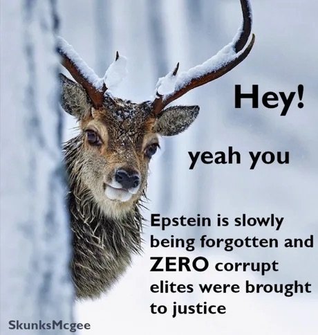 Epstein didn't kill himself.jpeg
