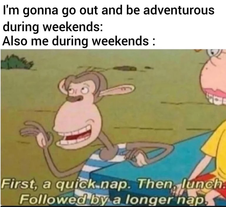 Naps all the way down.jpeg