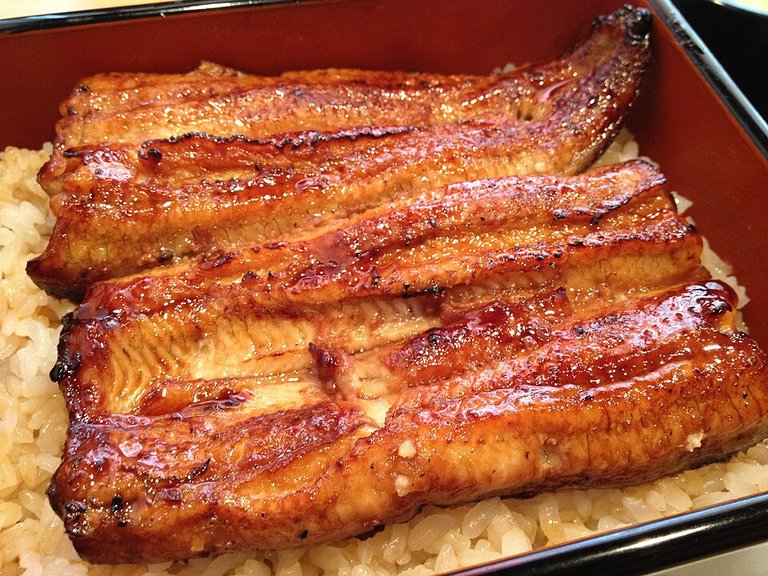 960px-Unagi1.jpg