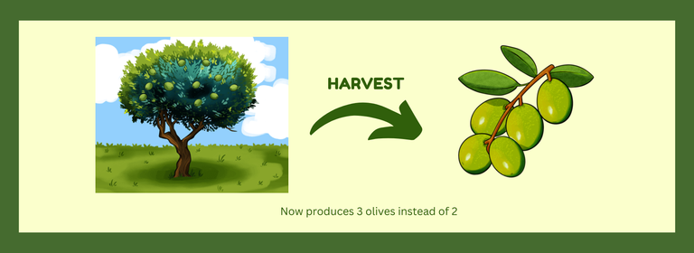 HARVEST.png