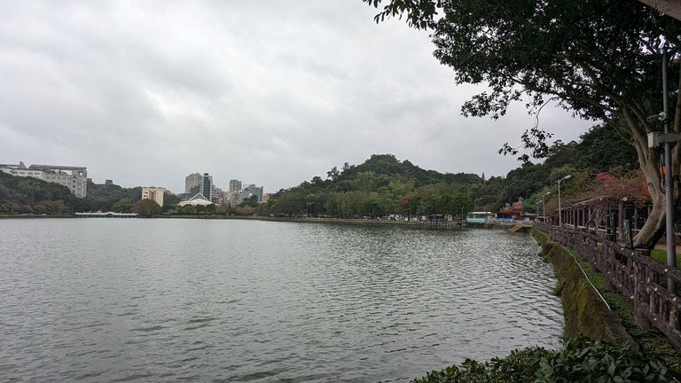 PXL_20231229_042254825.jpg