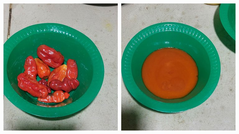 1000209667.jpg
