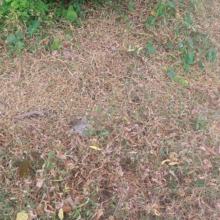 1000165700.jpg