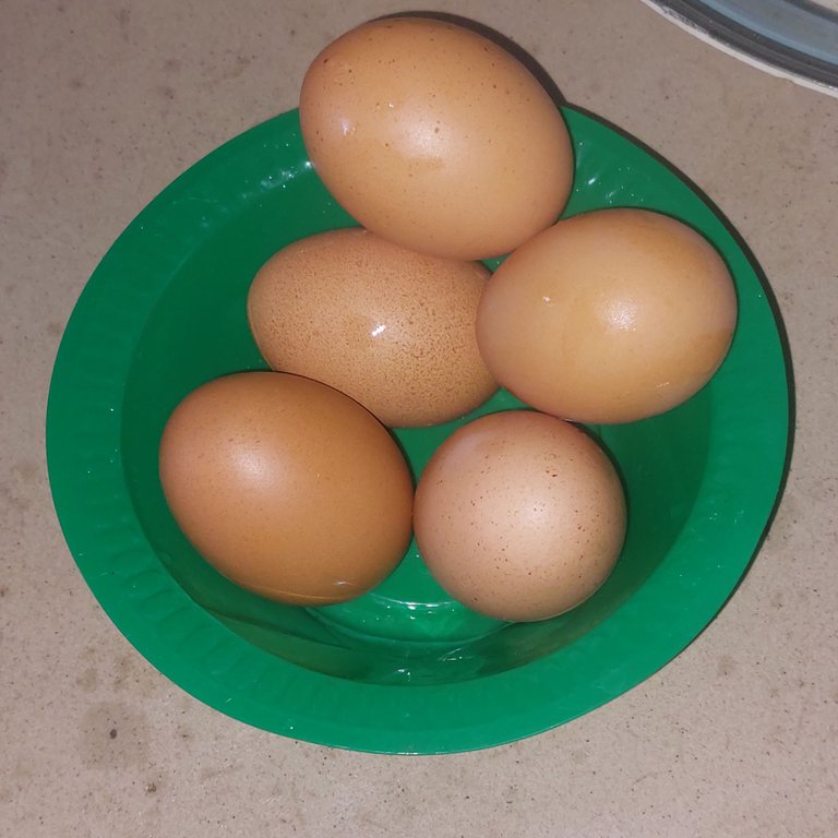 1000140833.jpg