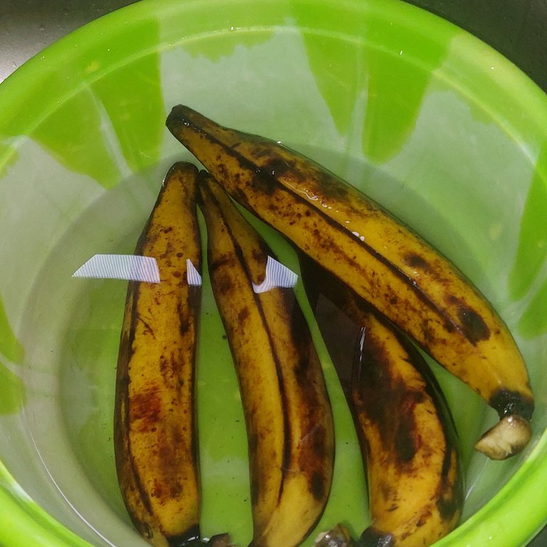 1000140841.jpg
