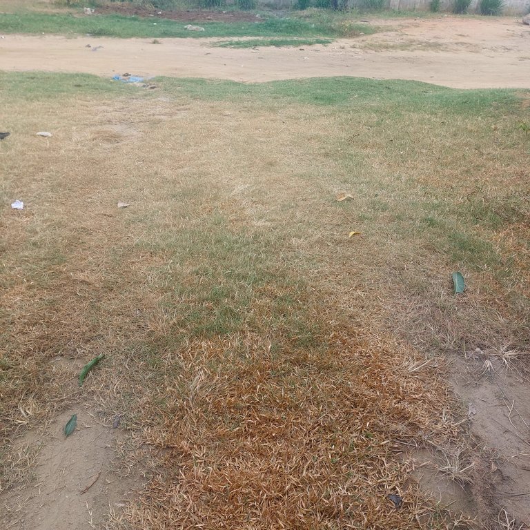 1000165694.jpg
